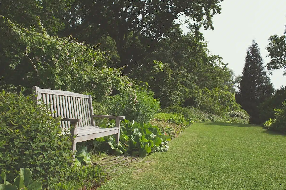 jardin créatif