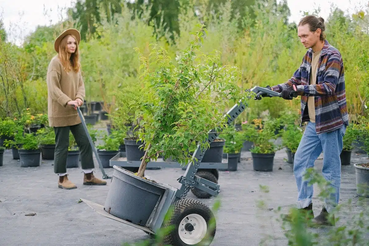 jardinage  végétaux