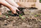 jardinage